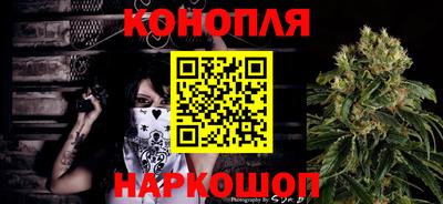 прущие грибы Пушкино