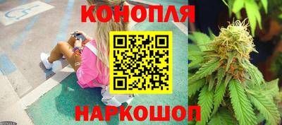 прущие грибы Пушкино