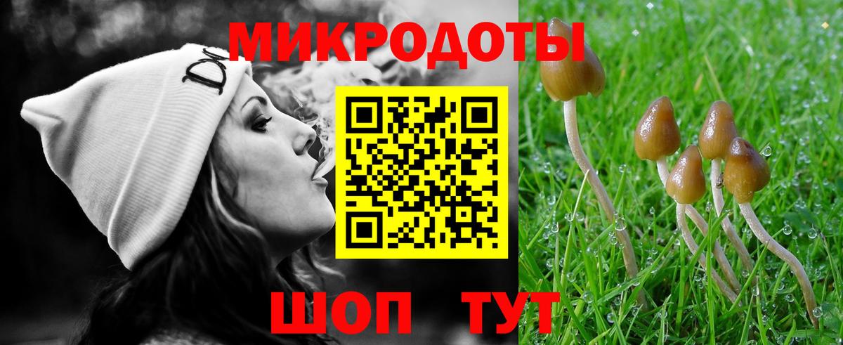 Скопин  цена   Псилоцибиновые грибы Psilocybine cubensis  Вход с VPN  Галлюциногенные грибы Magic Shrooms 