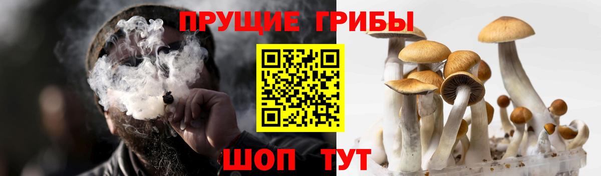 Псилоцибиновые грибы Magic Shrooms Скопин